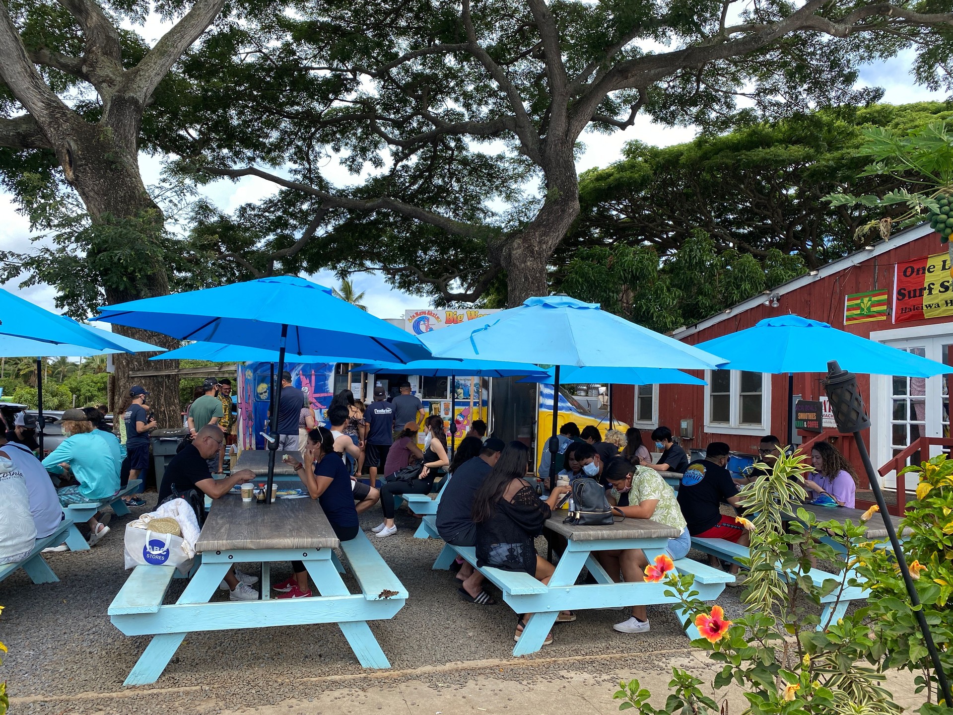 Lunch Crowd at Big Wave Shrimp Truck on Oahu's North Shore